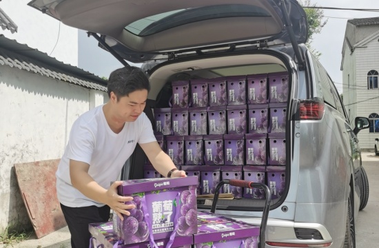 乐彩汇爱心月捐赠活动