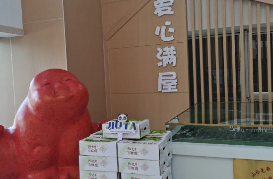 乐彩汇爱心月捐赠活动